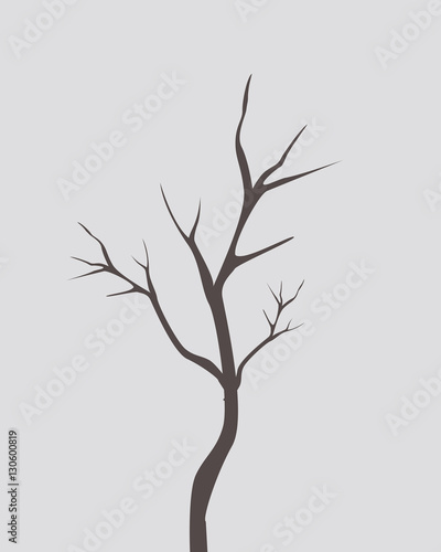 dry tree with out leafs vector branches