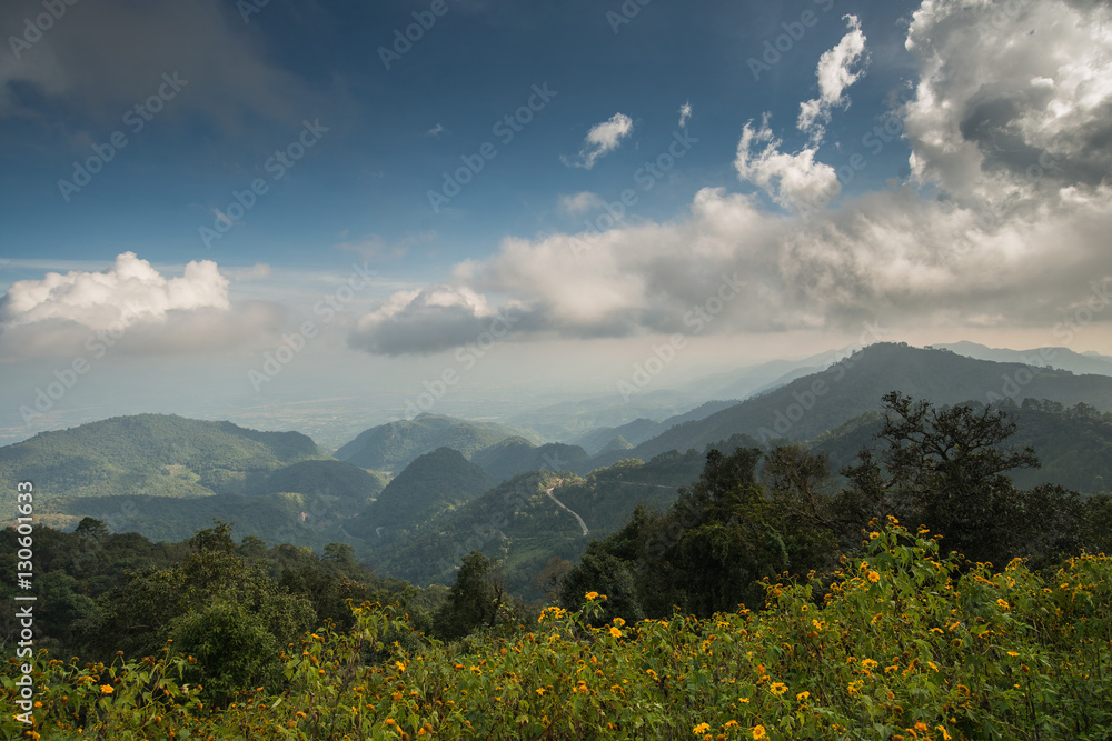 Fototapeta premium View of moutain in the north of Thailand. Doi Angkhang, Chiangmai,Thailand. 