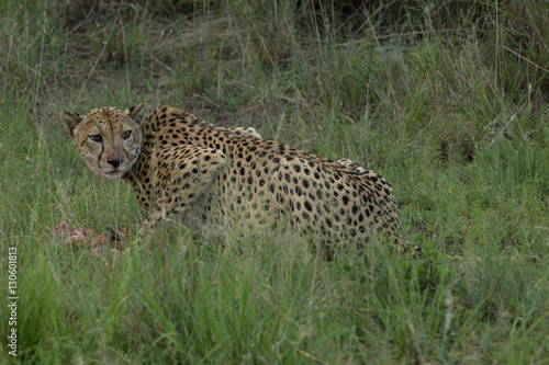 Photography Africa