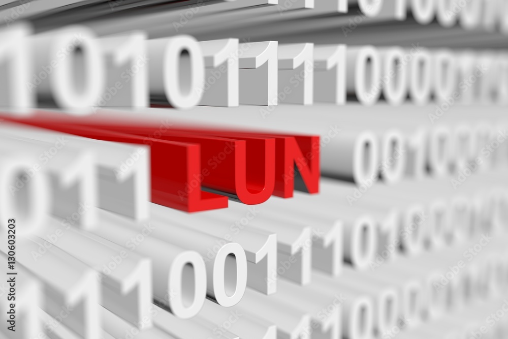LUN in binary code with blurred background 3D illustration