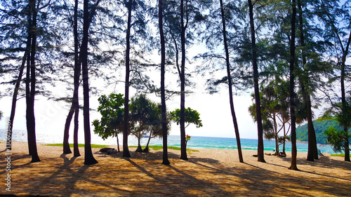 Sirinat National Park Beach Phuket Thailand