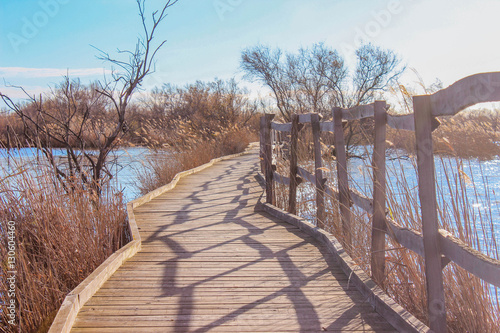 La camargue gardoise de Vauvert et Gallician au scamandre