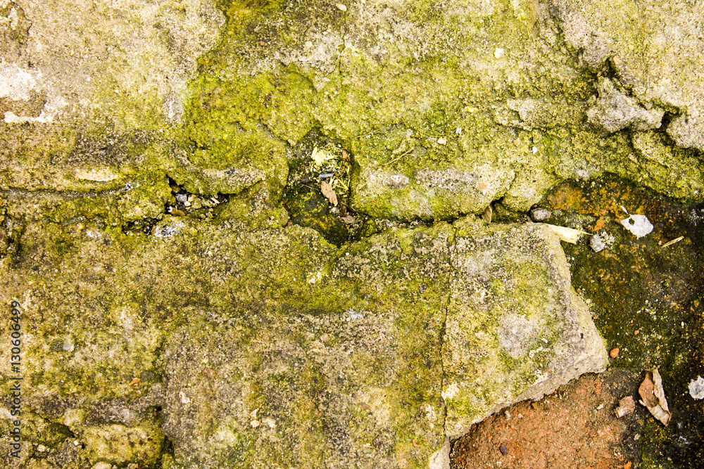 Obraz premium Old Brick wall texture background