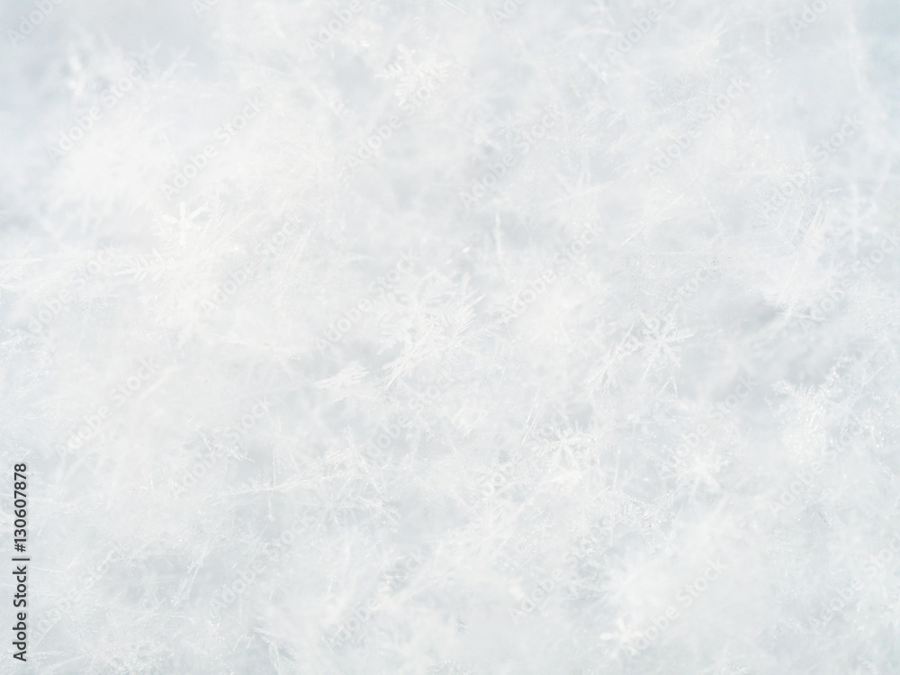 White snowflakes in the bitter cold macro. Abstract winter background. White snowflakes in the bitter cold macro. Abstract winter background.