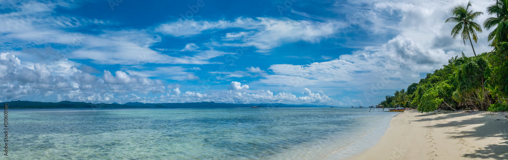 Two Coconut Palms near Diving Station on Kri Island, Raja Ampat, Indonesia, West Papua