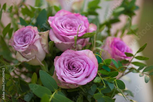 Pink roses in garden © Laszlo