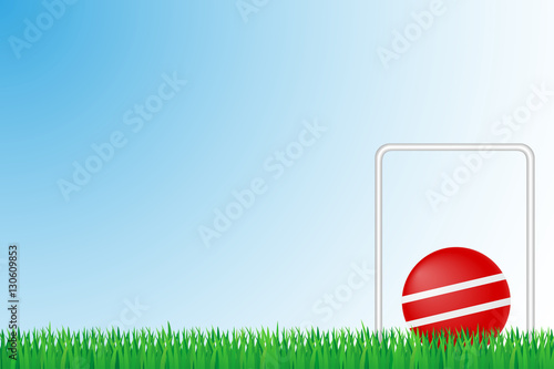 croquet grass field vector illustration photo