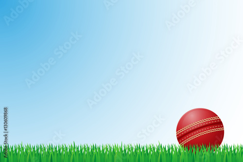 cricket grass field vector illustration