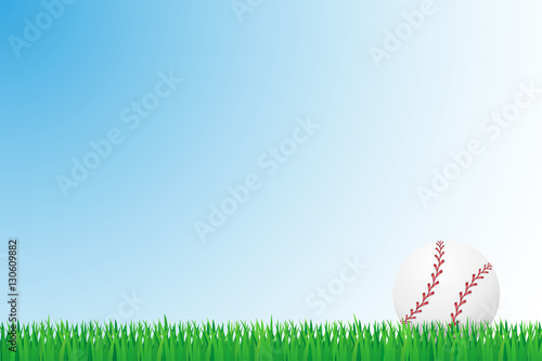 baseball grass field vector illustration
