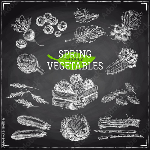 Vector hand drawn Illustration with spring vegetables.