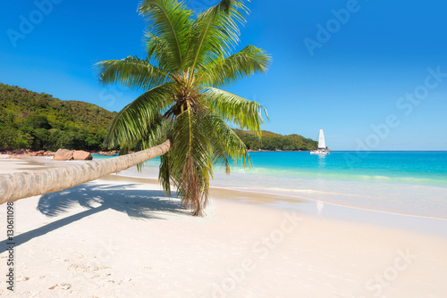 Fototapeta Naklejka Na Ścianę i Meble -  Tropical beach with palm tree and sailing yacht on tropical sea in  horizon.