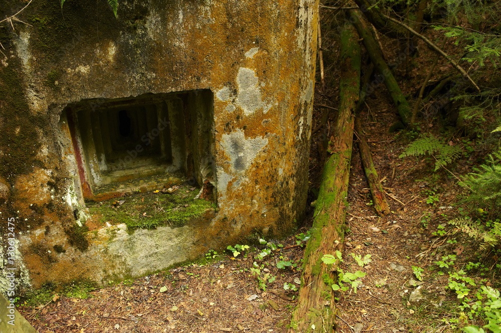 Obraz premium Abandoned bunker hidden deep in the forest. Sumava National park - Bohemian Forest, Czech Republic