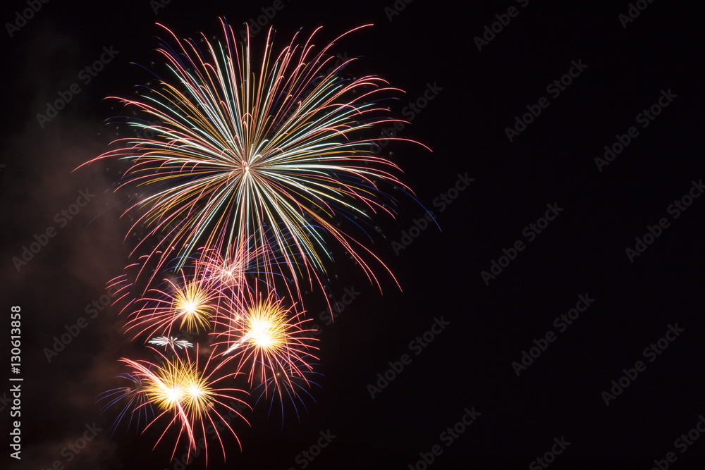 Firework in the night sky Firework in the night sky