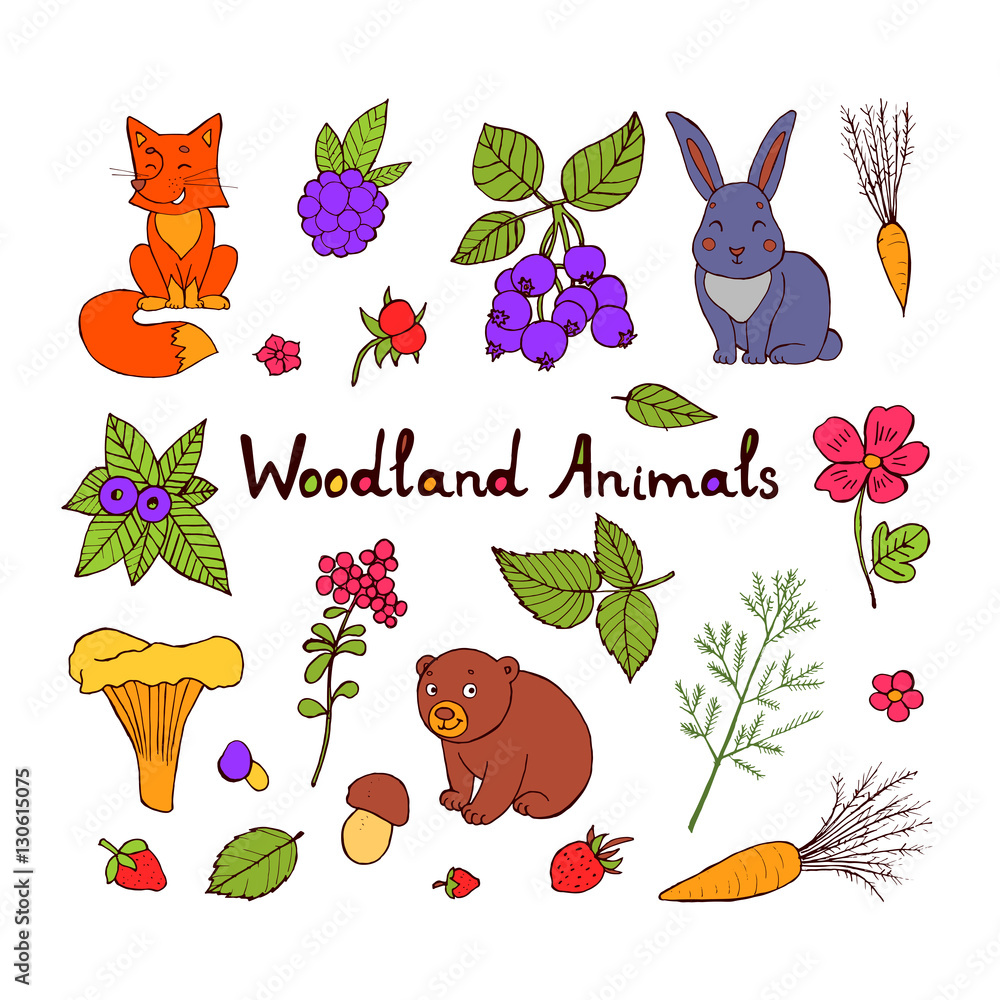 Doodle set of cute animals with fox, bear and rabbit. Cute forest animal  set, doodle sketch collection with leaves, strawberries, mushrooms and  walnuts Stock Vector | Adobe Stock