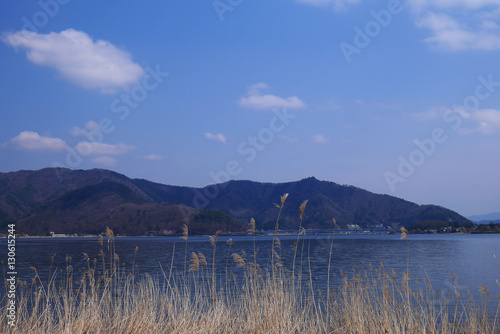 Wild grass with lake and mountain