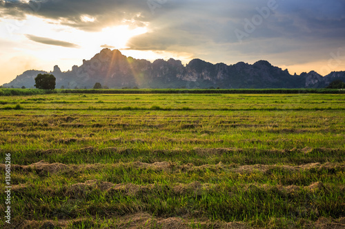 Sunset Field