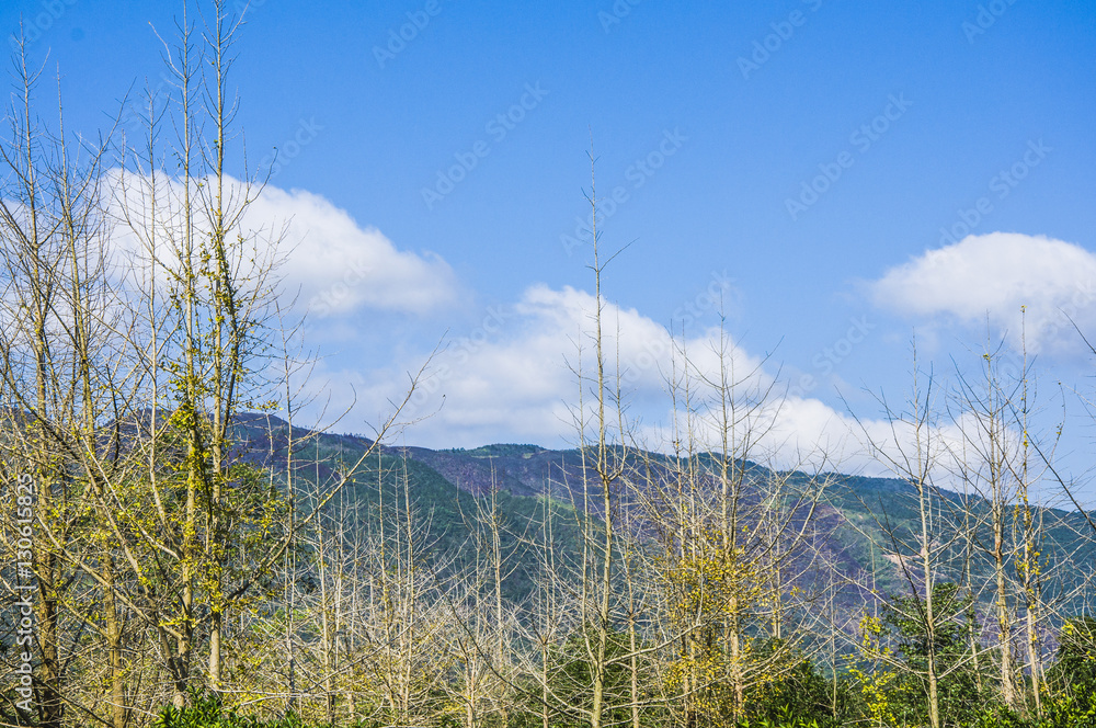 The countryside scenery with blue sky in autumn The countryside scenery with blue sky in autumn