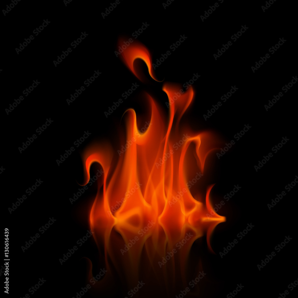 Vector Red Fire Flame Bonfire Isolated on Background Vector Red Fire Flame Bonfire Isolated on Background