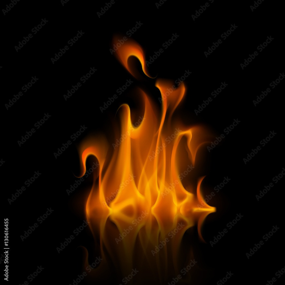 Vector Yellow Orange Fire Flame Bonfire Isolated on Background Vector Yellow Orange Fire Flame Bonfire Isolated on Background