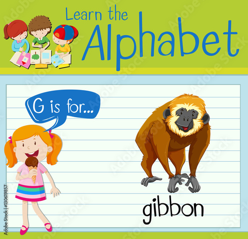 Flashcard letter G is for gibbon