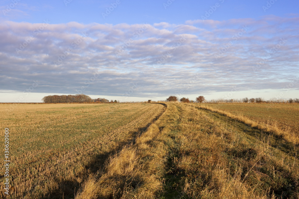 bridleway and golden straw stubble