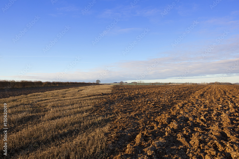 partially plowed field