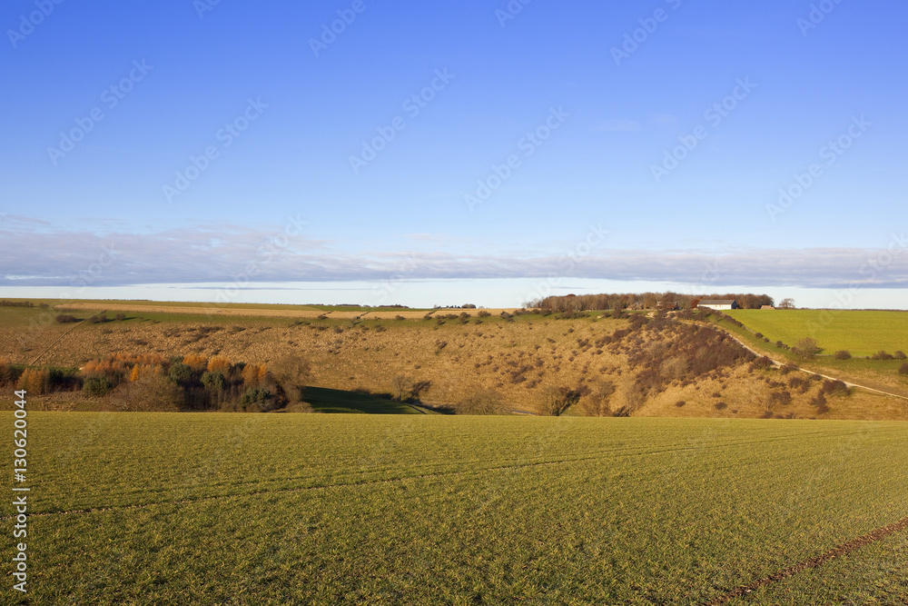 Fototapeta premium yorkshire wolds wooded valley