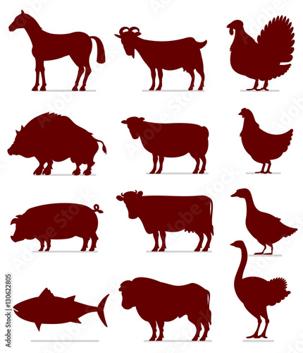 Icons of Meat Animals