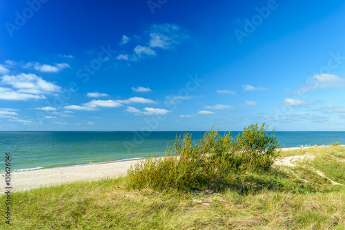 Sandy sea beach