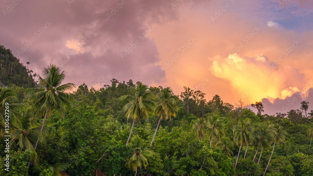 Evening Clouds over Jungle during Sunset on Gam Island, West Papuan, Raja Ampat, Indonesia Evening Clouds over Jungle during Sunset on Gam Island, West Papuan, Raja Ampat, Indonesia