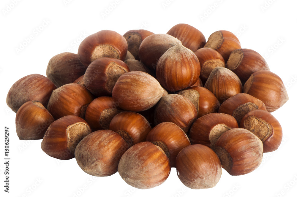 hazelnuts placed over a white background hazelnuts placed over a white background