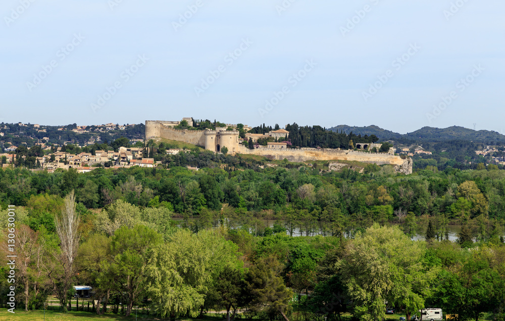 Cardinal's castle in Avignon, France, on the other side of the Rhone.
