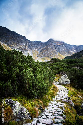Fototapeta Naklejka Na Ścianę i Meble -  A beautiful mountain landscape with trees