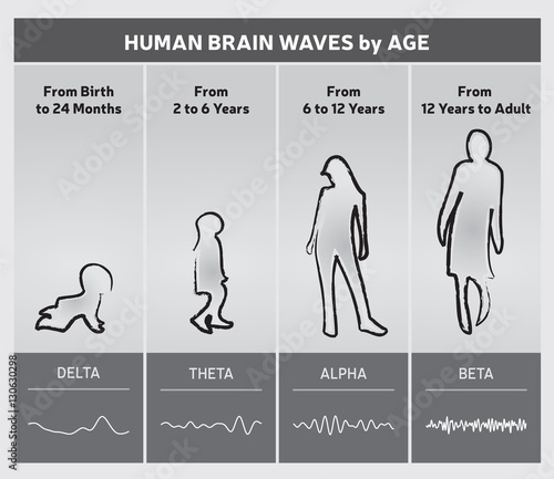 Ondes Cérébrales Humaines - Diagramme en Fonction de l'Age / Infographie en Anglais /  Noir et Blanc