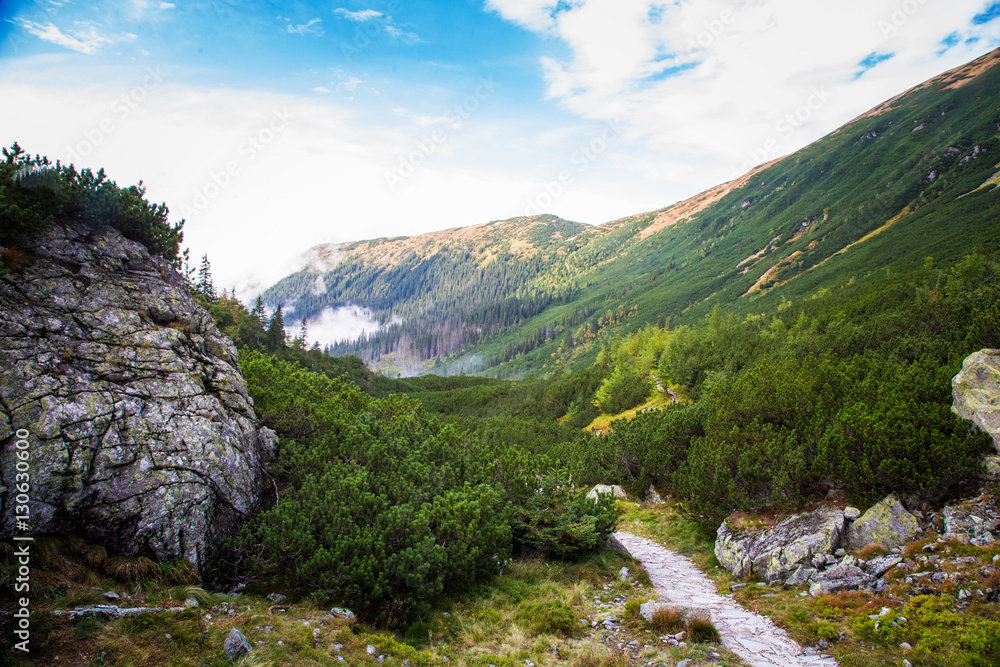 A beautiful mountain landscape with trees