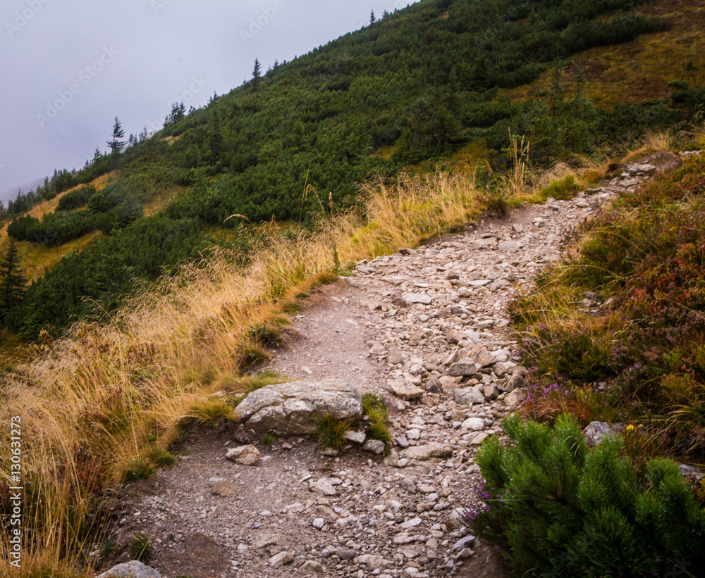 A beautiful mountain landscape with trees A beautiful mountain landscape with trees