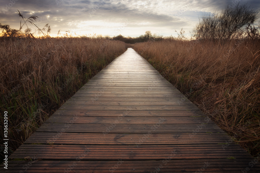 The boardwalk at Cosmeston Lakes Country Park, situated between Penarth and Sully in the Vale of Glamorgan, South Wales

