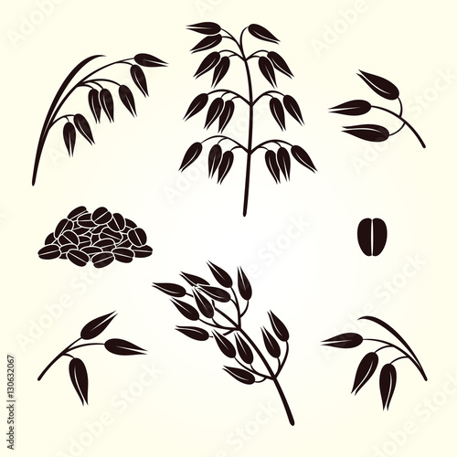 Oats set. Vector