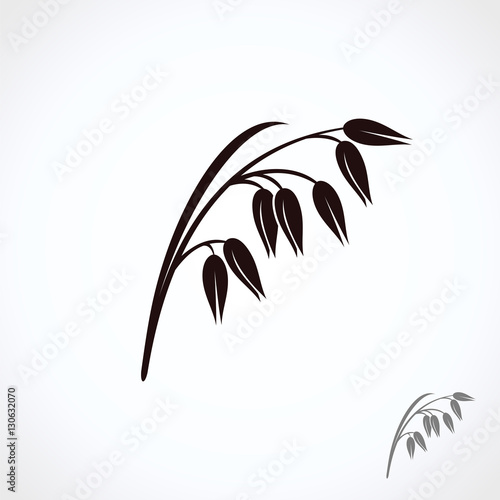 Oats set. Vector
