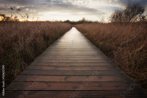 The boardwalk at Cosmeston Lakes Country Park, situated between Penarth and Sully in the Vale of Glamorgan, South Wales
 photo