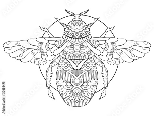 Bumblebee coloring book for adults vector