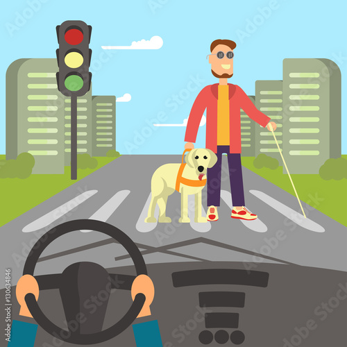 A blind man with guide dog and walking stick is crossing street. Human hands driving a car on asphalt road with disability person walking on the crosswalk, car interior, flat design vector