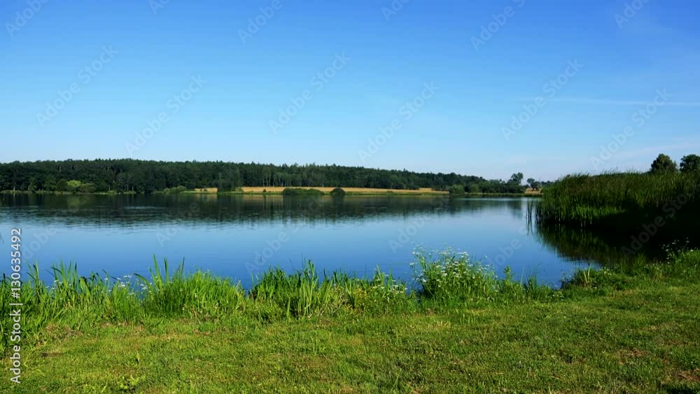 lake with grass on the shore - forest (trees) in background - sunny day lake with grass on the shore - forest (trees) in background - sunny day