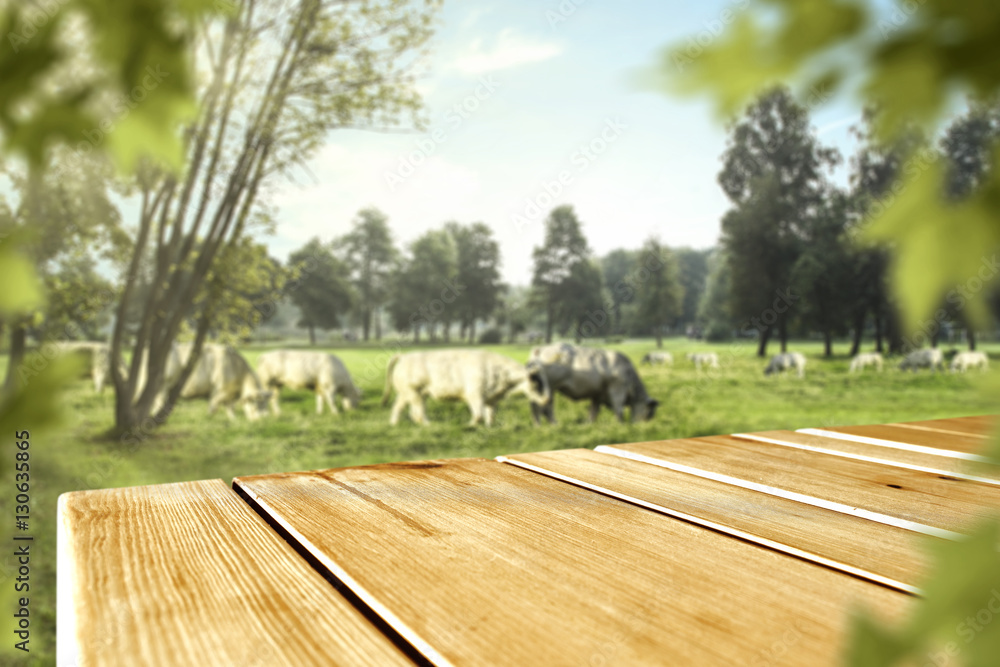 spring wooden desk spring wooden desk