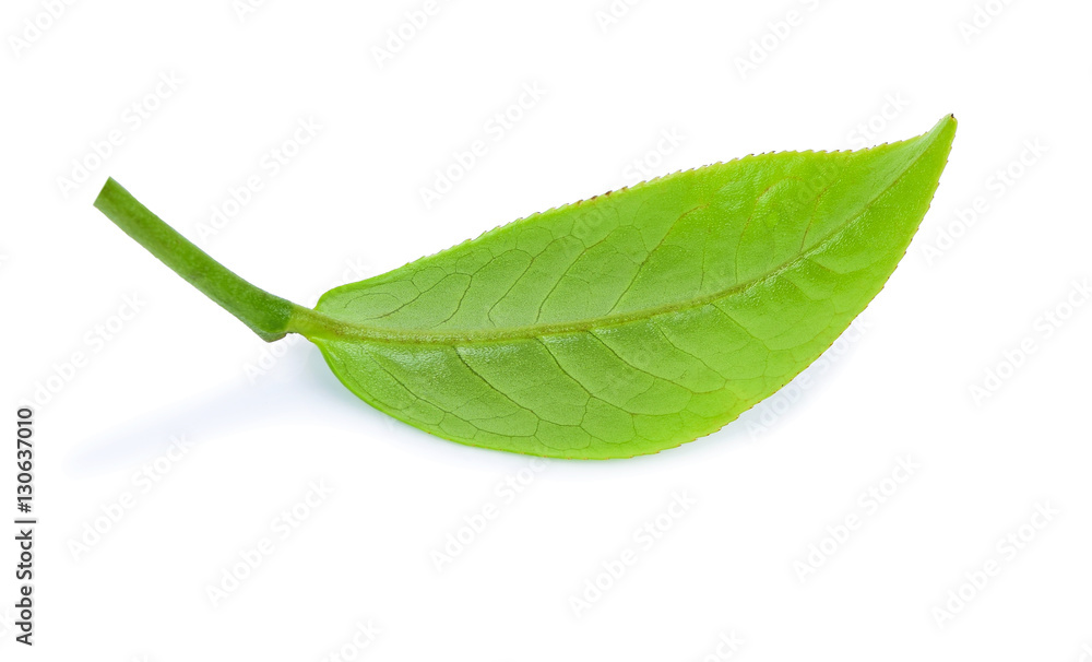 Green tea, The tea leaves isolated on white background Green tea, The tea leaves isolated on white background