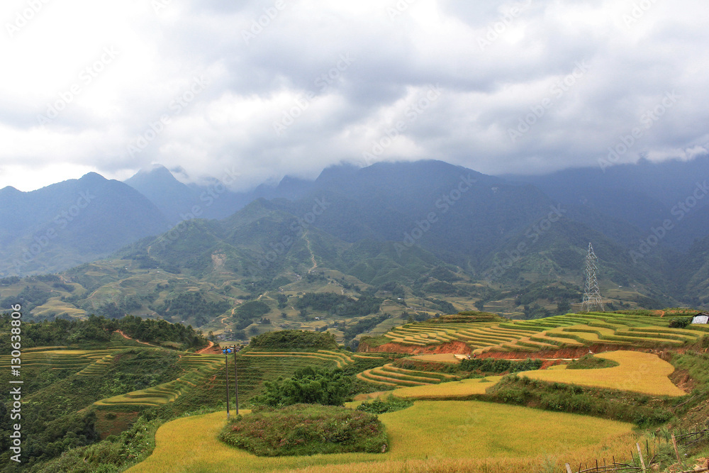 Rice terraces and the mist on the hill ,Sapa Veitnam