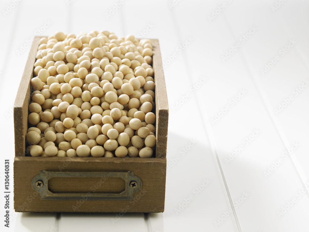 soy bean