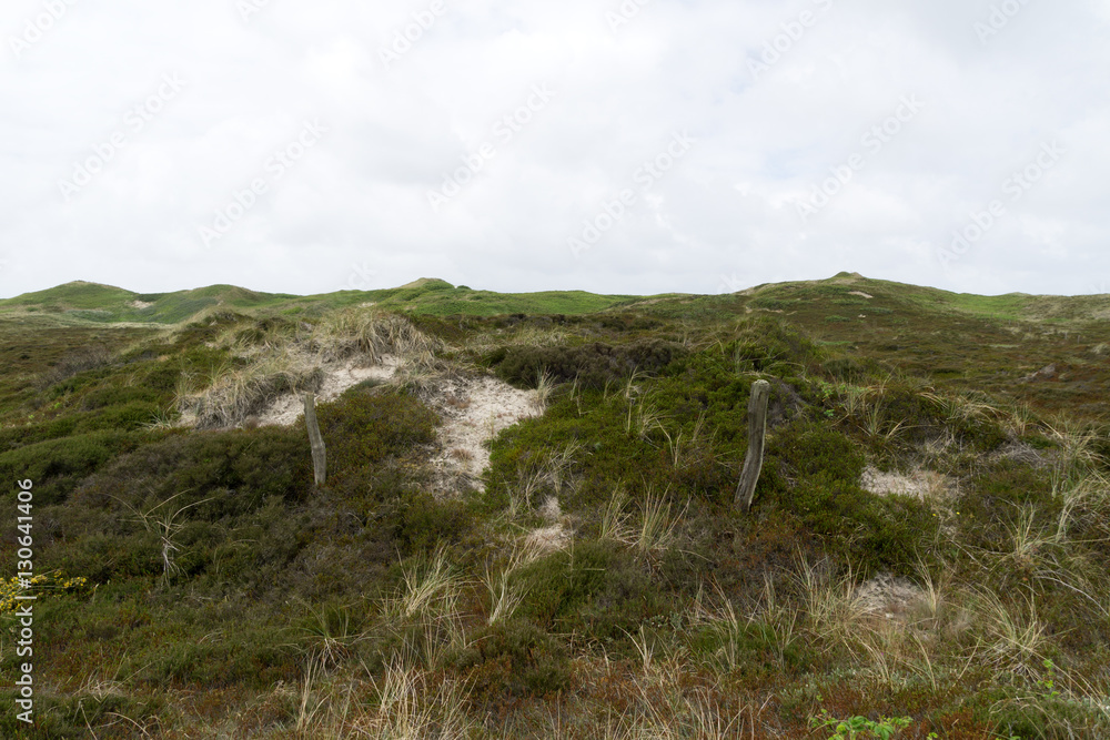 Typical Sylt Dune Landscape at Kampen / Germany