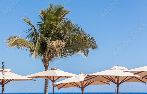 parasols et cocotiers, vacances tropicales au soleil 