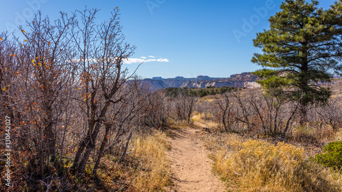 The narrow path among the dry grass toward the canyon. Scenic view of the canyon. Zion National Park, Utah, USA